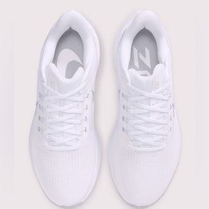 Nike Zoom Pegasus 39